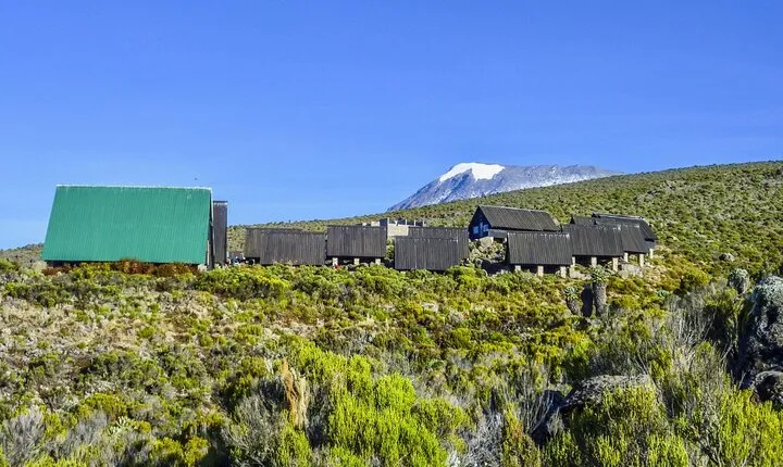Full Day Guided Trekking in Mount Kilimanjaro