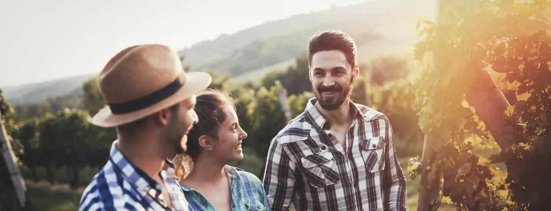 Guided half-day Mount Tamborine winery tour with lunch