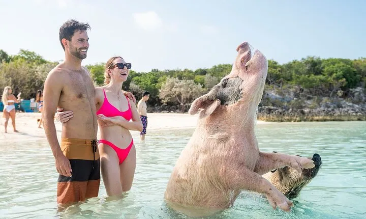 Exuma Elite Escape: Luxury Fly-In Pig Beach Adventure - 7 Stops