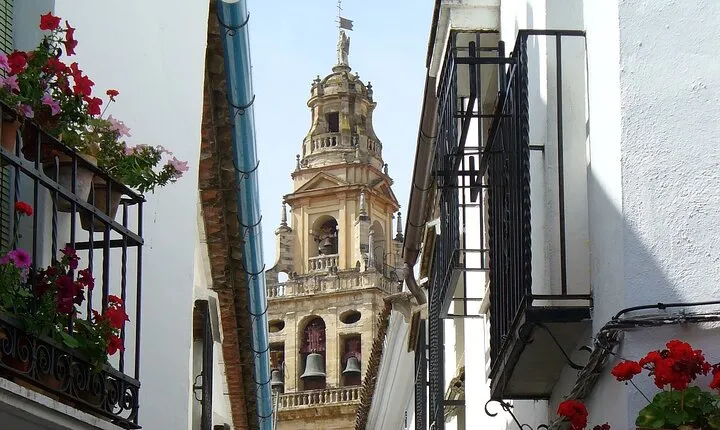 Cordoba Private Tour including visit to the Fortress