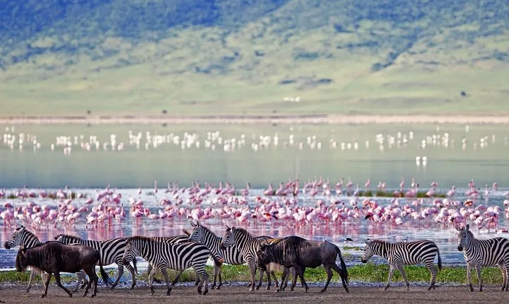 Ngorongoro Crater Day Trip