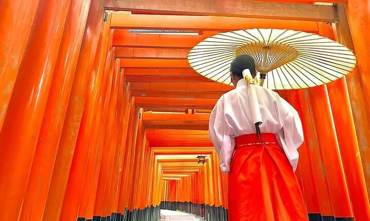 Kyoto & Nara & Uji: Full Day Sightseeing Tour from Osaka or Kyoto