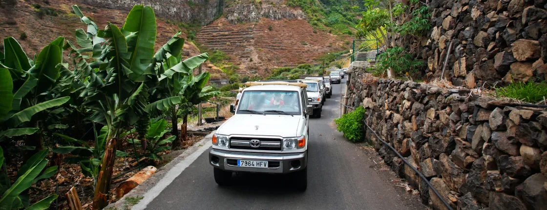 La Gomera 4x4 Safari Tour from the South