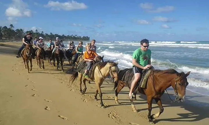 Punta Cana Beach Horseback Riding