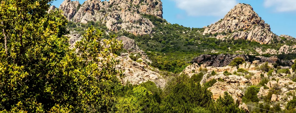 Discover Wonderful Gallura with Lunch