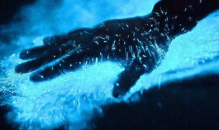 Bioluminescence & sunset boat tour to Los Arcos Sanctuary