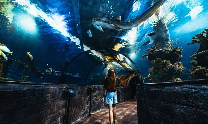 Malta National Aquarium Entrance Ticket