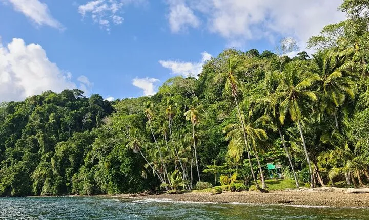 3 Days Kayak & Camping Excursionon in Golfo Dulce