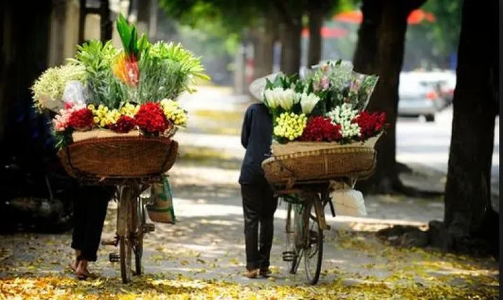 Hanoi Local Market Discovery