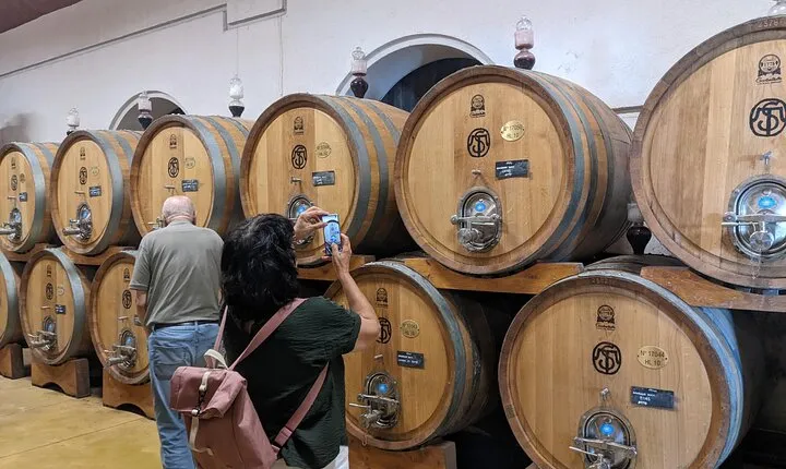 From Lake Garda: Full-Day Valpolicella Wine and Lunch Guided Trip