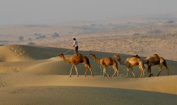2 Days-1 Night Camel Tour