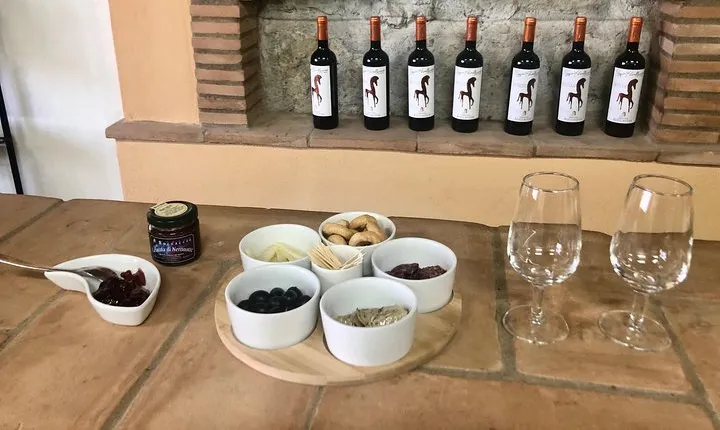Tuscan Maremma Wine Tastings