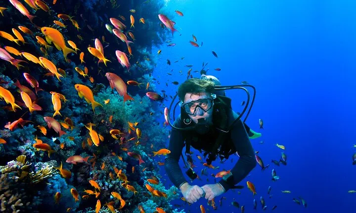 Diving Experience In Buzios