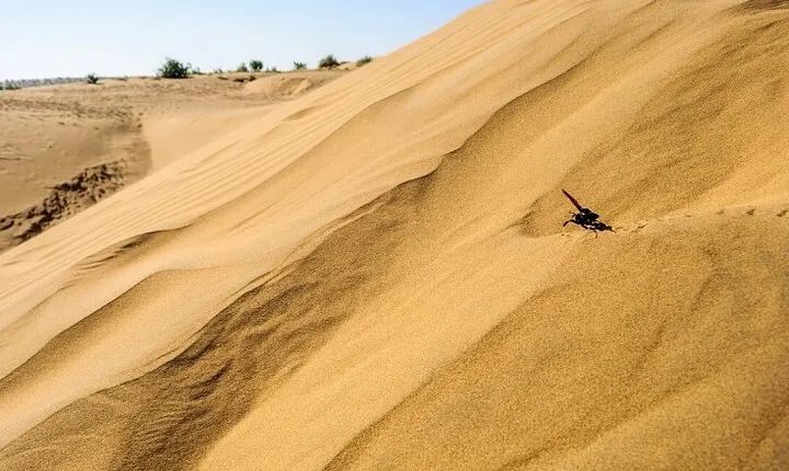 Private 2 Day Tour of Jaisalmer with Camel Safari