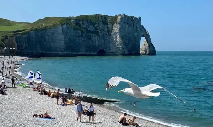 Normandy Rouen, Honfleur, Etretat Small group Day Trip from Paris