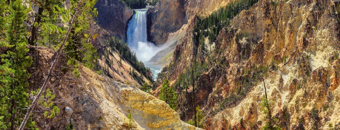 Yellowstone Lower Loop full-day tour