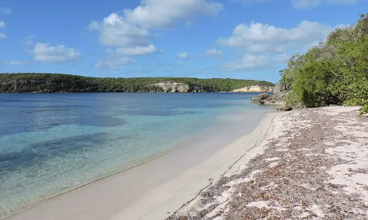 Isla de Vieques Beach Hopper Sightseeing Tour
