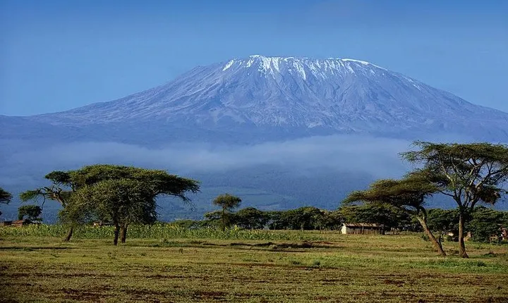 1 Day Mount Kilimanjaro Hike Trip