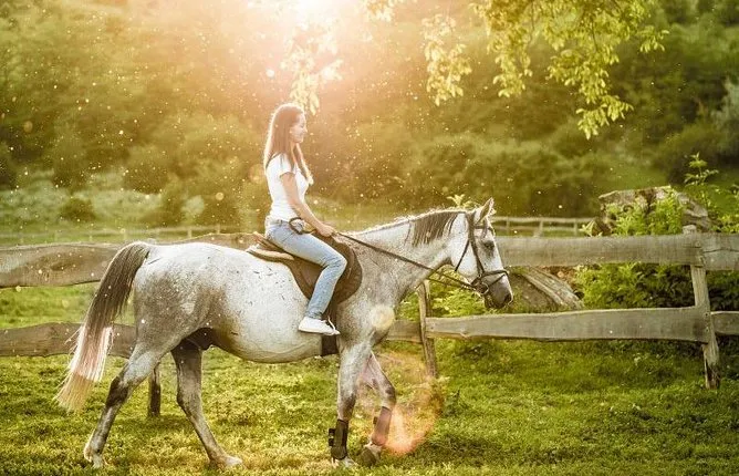 Horseback Riding Tour with wine tasting from Siena