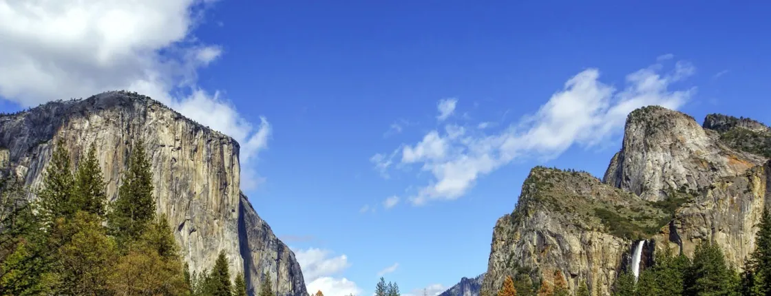Total Yosemite experience with giant sequoias tour