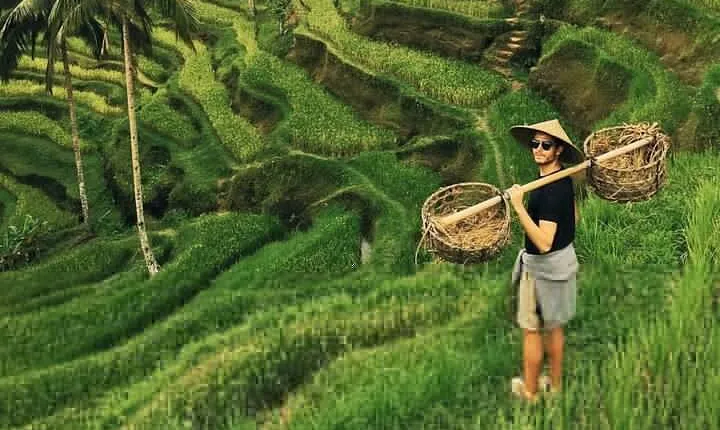 Private Tour Ubud - Best of Ubud with All Inclusive