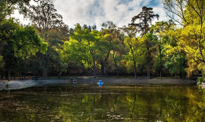2-Hour Meditation Experience on the Shores of Lake Chapultepec