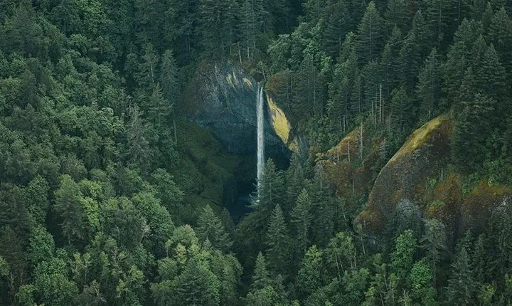 Multnomah Falls Waterfall Air Tour by Envi Adventures