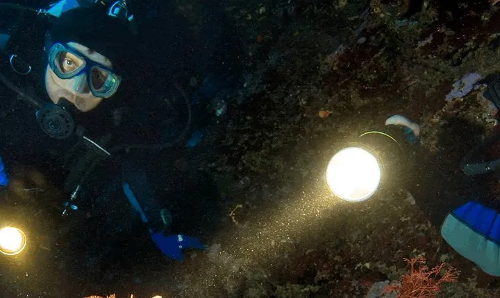 Scuba Diving at Dusk in Unawatuna