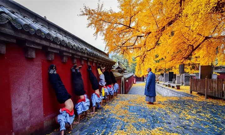 Best Luoyang Private One Day Tour