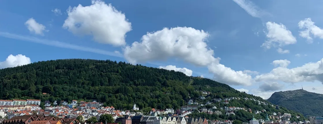 Private walking tour of Bergen past and present