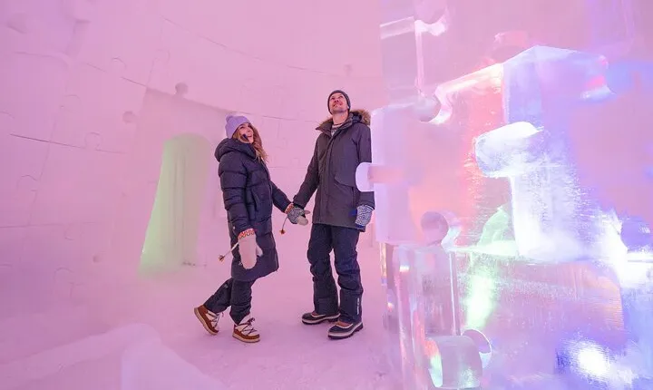 Visiting package: Guided Tour at Arctic Snow Hotel
