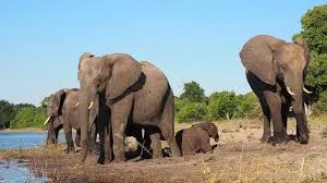 3 Days National Park Safari Trail