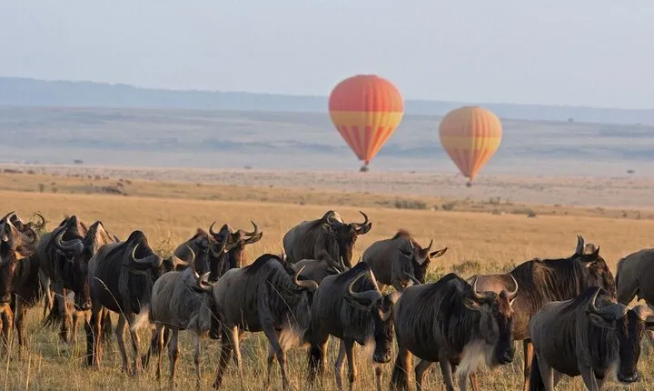 5-Day Classic Tarangire, Serengeti & Ngorongoro Camping