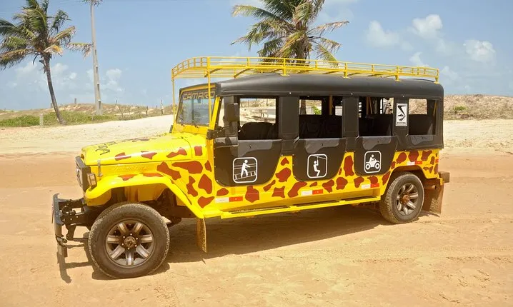 Kite Jeep Tour with Tree Canopy