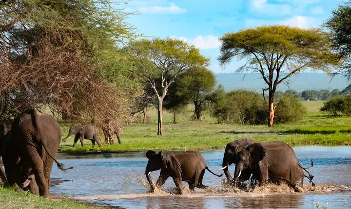 5-Day Group Tour Mid Range