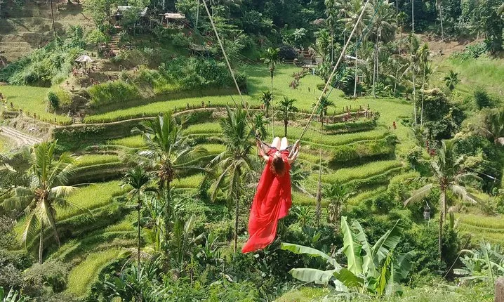 Exclusive Ubud Day Tour