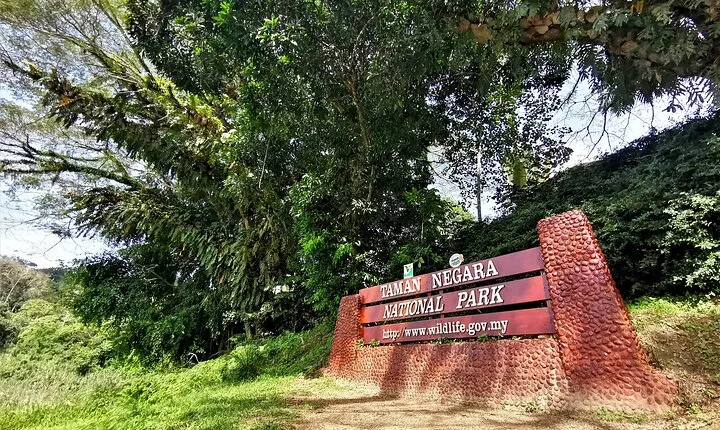 Shared Full Day Taman Negara Trekking Tour