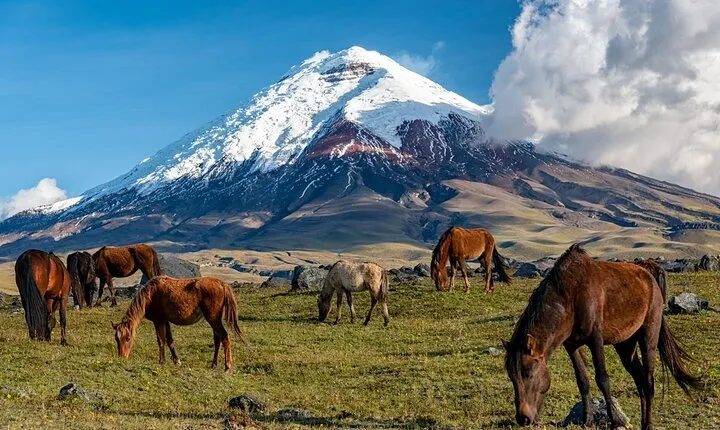 Elevate: A Day's Odyssey to Cotopaxi's Majestic Heights!