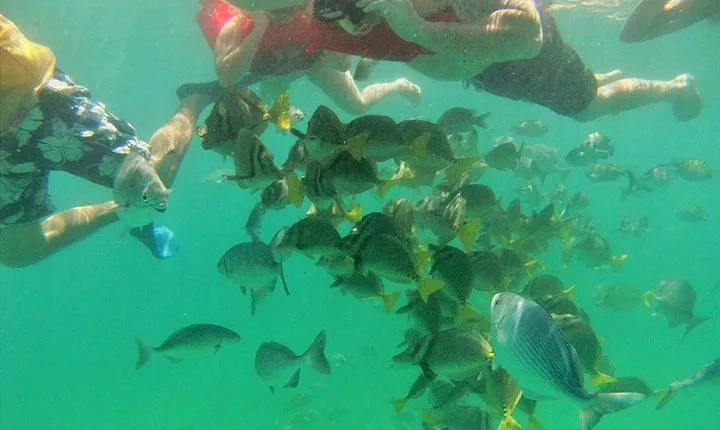 Private Snorkel Cruise in Cabo San Lucas