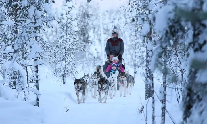 10 KM Self Driven Husky Sled Adventure in Rovaniemi