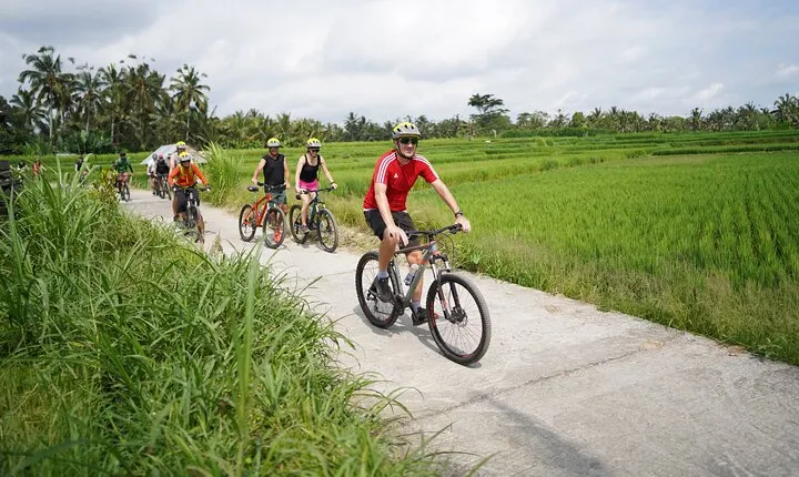 Electric Bike and Swing Package
