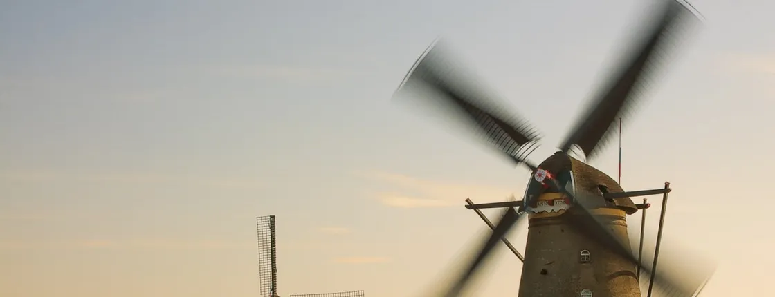 Small group day trip to Kinderdijk windmills and The Hague