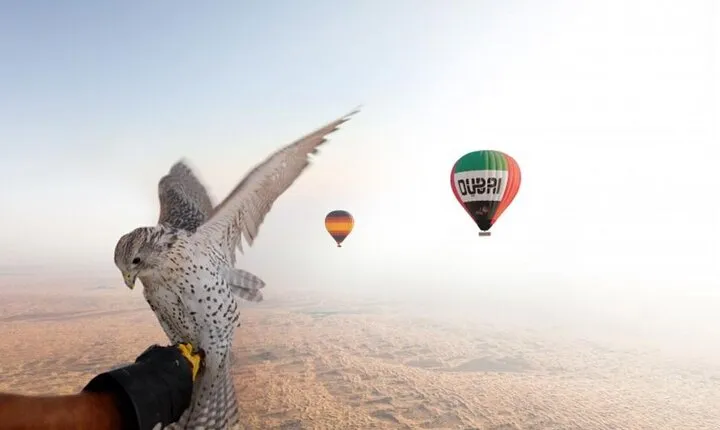  Enjoy Views Of Dubai Beautiful Desert By Hot Air Balloon From Dubai & Falcon 