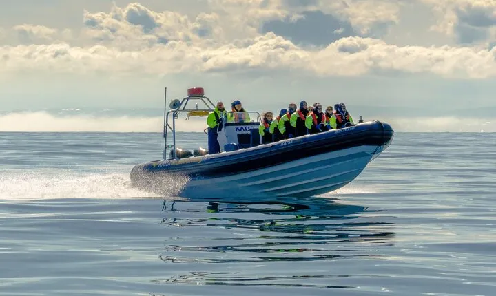 Puffin Watching Speedboat Express