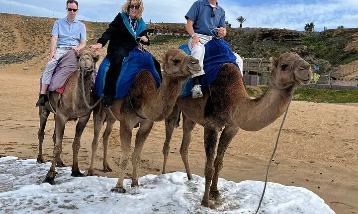 Private Tour: Tangier From Malaga. Breakfast and Lunch Included