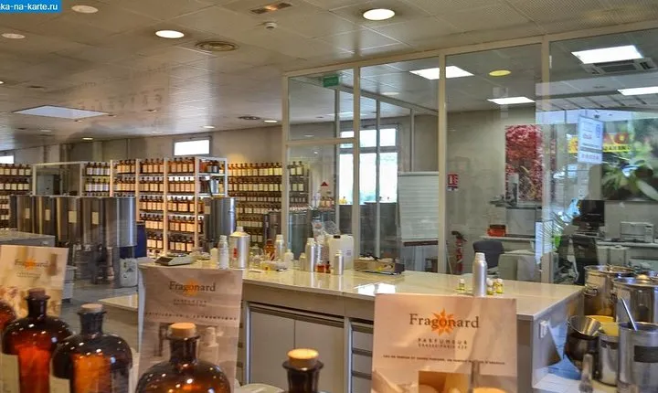 Secrets of winemaking and perfumery on the Côte d'Azur Cannes Shore Excursion
