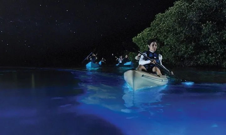Overnight Bio Bay Kayak Tour in Vieques Island