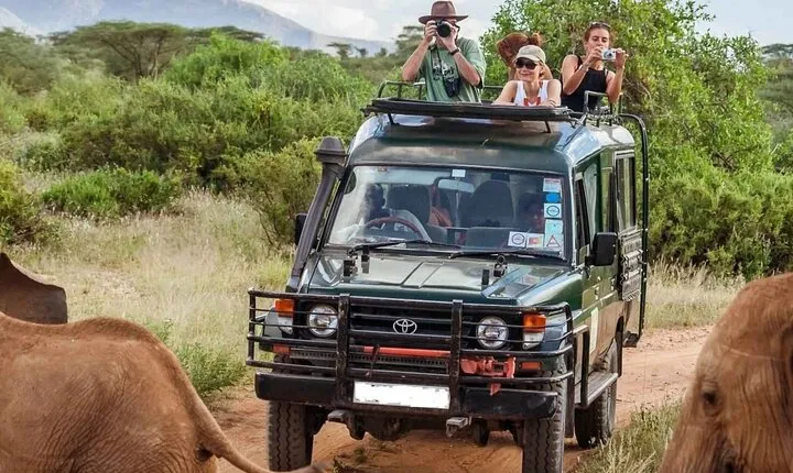 3 Days Amboseli National Park Luxury Safaris on 4x4 Jeep