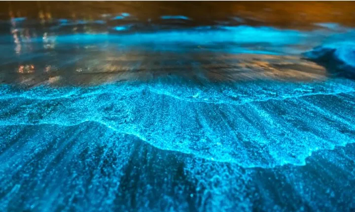 Bioluminescence by kayak or SUP to Los Arcos Puerto Vallarta