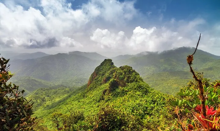 Half Day Adventure Private Tour in El Yunque Rainforest